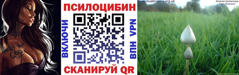Псилоцибиновые грибы мухоморы  сколько стоит  Радужный 