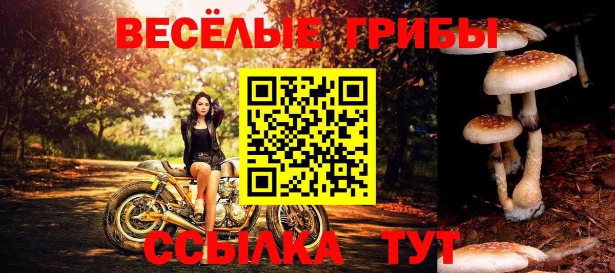 Галлюциногенные грибы ЛСД Радужный