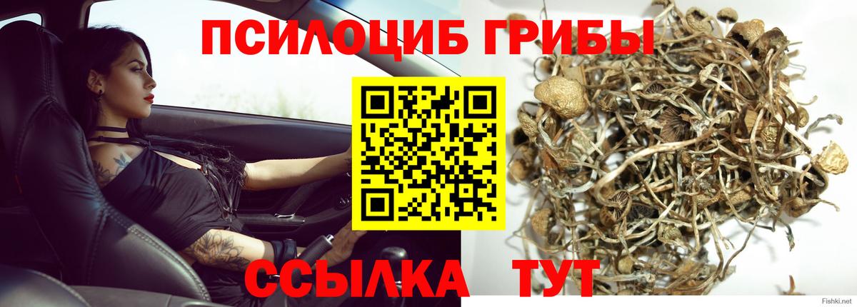 Радужный  закладки  Вход с VPN  Галлюциногенные грибы MAGIC MUSHROOMS 